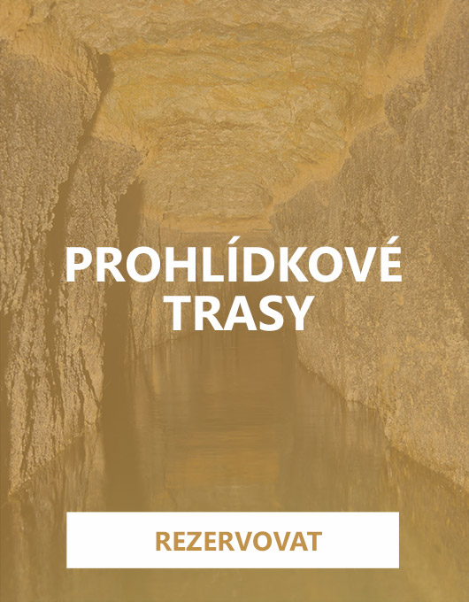 Rezervovat